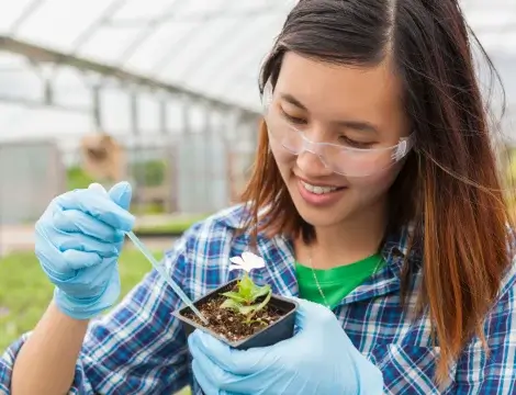 Girl holding a plant
